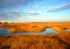 The Plum Island Estuary