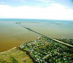 Brown tides are caused by harmful algal blooms.