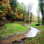 Aveys Run Stream at Cincinnati Nature Center