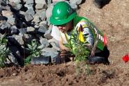 Boeing implemented more than a dozen specific measures, including biofiltration units and incorporating native plants. (Boeing photo)