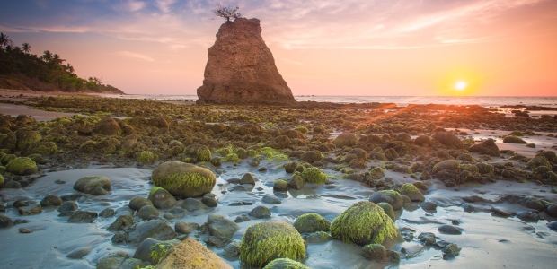 As air drones already exist, a new development has evolved in drone technology, a water-based drone to ensure fast and efficient algae control and treatment. 