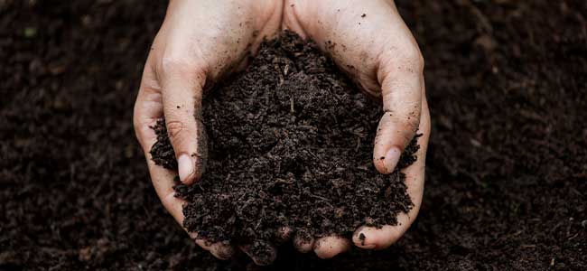 Innovating for a Greener Future: The Role of Compostable Materials in Reducing Waste