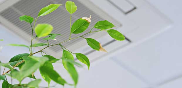 How States Can Utilize EPA Grant to Improve Indoor Air Quality Nationwide in 2023