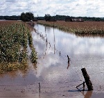 Photo courtesy USDA NRCS.