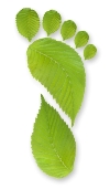 leafy footprint