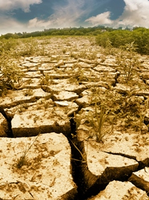 Despite the fact that California is experiencing its driest year in recorded history, federal officials announced that farmers across the state will not receive irrigation water from canals, reservoirs, or rivers.