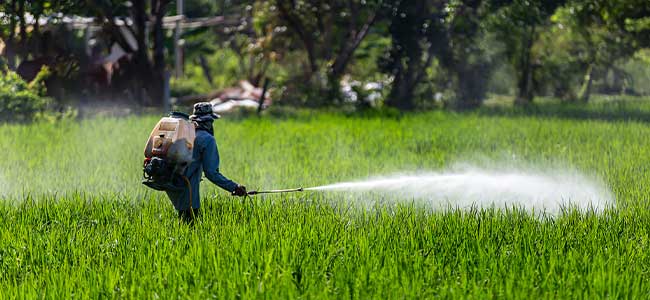 EPA Proposes Revoking Most Chlorpyrifos Food Tolerances